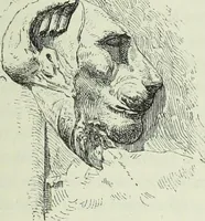 An illustration from Histoire de l'art dans l'antiquité: Égypte, Assyrie, Perse, Asie Mineure, Grece, Etrurie, Rome (1882)