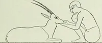 Picture 384 of 443 from Histoire de l'art dans l'antiquité: Égypte, Assyrie, Perse, Asie Mineure, Grece, Etrurie, Rome (1882), leaf 906