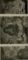 Picture 56 of 156 from Histoire de l'art du Japon; (1900), leaf 176