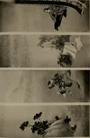 Picture 119 of 156 from Histoire de l'art du Japon; (1900), leaf 352