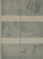 Picture 122 of 156 from Histoire de l'art du Japon; (1900), leaf 363
