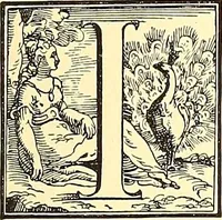 Picture 220 of 505 from Histoire de l'art pendant la renaissance (1889), leaf 319