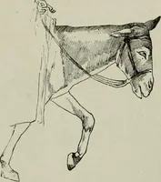Picture 222 of 529 from Histoire de l'art pendant la Renaissance (1889), leaf 332