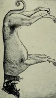Picture 467 of 529 from Histoire de l'art pendant la Renaissance (1889), leaf 711