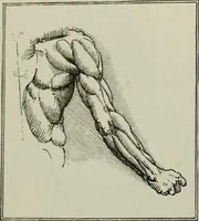 An illustration from Histoire de l'art pendant la Renaissance (1889)