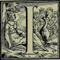 Picture 220 of 495 from Histoire de l'art pendant la Renaissance (1889), leaf 319