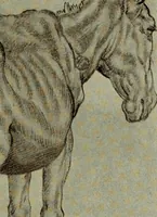 Picture 332 of 495 from Histoire de l'art pendant la Renaissance (1889), leaf 499