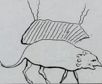 Picture 15 of 16 from Histoire de l'astronomie ancienne, depuis son origine jusqu'à l'établissement de l'école d'Alexandrie (1775), leaf 558