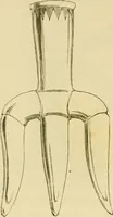 An illustration from Histoire de la verrerie et de l'émaillerie (1886)