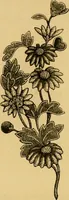 An illustration from Histoire de la verrerie et de l'émaillerie (1886)