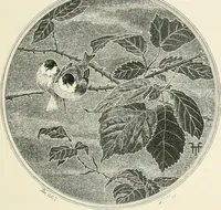 An illustration from Histoire de la verrerie et de l'émaillerie (1886)