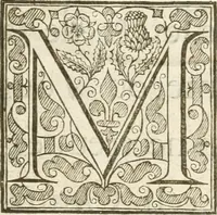 An illustration from Histoire de l'entree de la reyne mere du roy tres-chrestien dans les Provinces Vnies des Pays-Bas : enrichie de planches (1639)