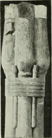 An illustration from Histoire de l'ordre lotiforme; étude d'archéologie égyptienne (1897)