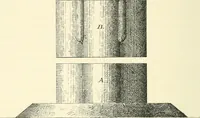 An illustration from Histoire de l'ordre lotiforme: étude d'archélogie égyptienne (1897)