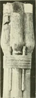 An illustration from Histoire de l'ordre lotiforme: étude d'archélogie égyptienne (1897)