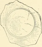 An illustration from Histoire de l'ordre lotiforme: étude d'archélogie égyptienne (1897)