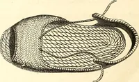 An illustration from Histoire de l'orfévrerie-joaillerie et des anciennes communautés et confréries d'orfévres-joailliers de la France et de la Belgique (1850)
