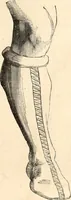 An illustration from Histoire de l'orfévrerie-joaillerie et des anciennes communautés et confréries d'orfévres-joailliers de la France et de la Belgique (1850)