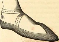 Picture 282 of 622 from Histoire de l'orfévrerie-joaillerie et des anciennes communautés et confréries d'orfévres-joailliers de la France et de la Belgique (1850), leaf 527