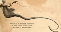 Picture 300 of 622 from Histoire de l'orfévrerie-joaillerie et des anciennes communautés et confréries d'orfévres-joailliers de la France et de la Belgique (1850), leaf 538