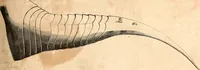 Picture 301 of 622 from Histoire de l'orfévrerie-joaillerie et des anciennes communautés et confréries d'orfévres-joailliers de la France et de la Belgique (1850), leaf 538