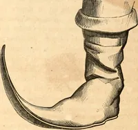 Picture 304 of 622 from Histoire de l'orfévrerie-joaillerie et des anciennes communautés et confréries d'orfévres-joailliers de la France et de la Belgique (1850), leaf 539