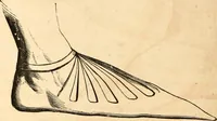 Picture 307 of 622 from Histoire de l'orfévrerie-joaillerie et des anciennes communautés et confréries d'orfévres-joailliers de la France et de la Belgique (1850), leaf 543