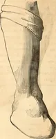Picture 313 of 622 from Histoire de l'orfévrerie-joaillerie et des anciennes communautés et confréries d'orfévres-joailliers de la France et de la Belgique (1850), leaf 547