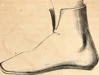 Picture 317 of 622 from Histoire de l'orfévrerie-joaillerie et des anciennes communautés et confréries d'orfévres-joailliers de la France et de la Belgique (1850), leaf 550