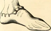 An illustration from Histoire de l'orfévrerie-joaillerie et des anciennes communautés et confréries d'orfévres-joailliers de la France et de la Belgique (1850)
