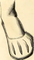 An illustration from Histoire de l'orfévrerie-joaillerie et des anciennes communautés et confréries d'orfévres-joailliers de la France et de la Belgique (1850)