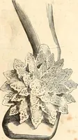 Picture 369 of 622 from Histoire de l'orfévrerie-joaillerie et des anciennes communautés et confréries d'orfévres-joailliers de la France et de la Belgique (1850), leaf 576