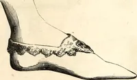 An illustration from Histoire de l'orfévrerie-joaillerie et des anciennes communautés et confréries d'orfévres-joailliers de la France et de la Belgique (1850)
