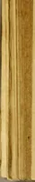 Picture 1 of 1 from Histoire de nostre temps (1622), leaf 920