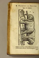 Picture 6 of 26 from Histoire de Portugal, : contenant les entreprises, nauigations, & gestes memorables des Portugallois, tant en la conqueste des Indes Orientales par eux descouuertes, qu'és guerres d'Afrique & autres exploits, depuis l'an mil quatre cens nona[n]te six, sous Emmanuel premier, Iea[n] troisiesme, & Sebastia[n] premier du nom. (1581), leaf 102