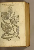 Picture 10 of 26 from Histoire de Portugal, : contenant les entreprises, nauigations, & gestes memorables des Portugallois, tant en la conqueste des Indes Orientales par eux descouuertes, qu'és guerres d'Afrique & autres exploits, depuis l'an mil quatre cens nona[n]te six, sous Emmanuel premier, Iea[n] troisiesme, & Sebastia[n] premier du nom. (1581), leaf 165