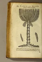 An illustration from Histoire de Portugal, : contenant les entreprises, nauigations, & gestes memorables des Portugallois, tant en la conqueste des Indes Orientales par eux descouuertes, qu'és guerres d'Afrique & autres exploits, depuis l'an mil quatre cens nona[n]te six, sous Emmanuel premier, Iea[n] troisiesme, & Sebastia[n] premier du nom. (1581)
