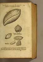 An illustration from Histoire de Portugal, : contenant les entreprises, nauigations, & gestes memorables des Portugallois, tant en la conqueste des Indes Orientales par eux descouuertes, qu'és guerres d'Afrique & autres exploits, depuis l'an mil quatre cens nona[n]te six, sous Emmanuel premier, Iea[n] troisiesme, & Sebastia[n] premier du nom. (1581)