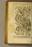 Picture 18 of 26 from Histoire de Portugal, : contenant les entreprises, nauigations, & gestes memorables des Portugallois, tant en la conqueste des Indes Orientales par eux descouuertes, qu'és guerres d'Afrique & autres exploits, depuis l'an mil quatre cens nona[n]te six, sous Emmanuel premier, Iea[n] troisiesme, & Sebastia[n] premier du nom. (1581), leaf 212