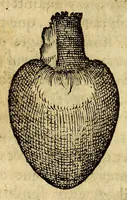 An illustration from Histoire de Portugal, : contenant les entreprises, nauigations, & gestes memorables des Portugallois, tant en la conqueste des Indes Orientales par eux descouuertes, qu'és guerres d'Afrique & autres exploits, depuis l'an mil quatre cens nona[n]te six, sous Emmanuel premier, Iea[n] troisiesme, & Sebastia[n] premier du nom. (1581)