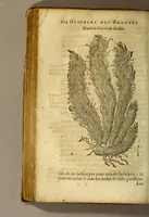 An illustration from Histoire de Portugal, : contenant les entreprises, nauigations, & gestes memorables des Portugallois, tant en la conqueste des Indes Orientales par eux descouuertes, qu'és guerres d'Afrique & autres exploits, depuis l'an mil quatre cens nona[n]te six, sous Emmanuel premier, Iea[n] troisiesme, & Sebastia[n] premier du nom. (1581)