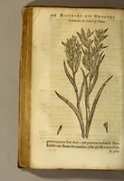 An illustration from Histoire de Portugal, : contenant les entreprises, nauigations, & gestes memorables des Portugallois, tant en la conqueste des Indes Orientales par eux descouuertes, qu'és guerres d'Afrique & autres exploits, depuis l'an mil quatre cens nona[n]te six, sous Emmanuel premier, Iea[n] troisiesme, & Sebastia[n] premier du nom. (1581)