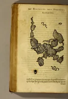 An illustration from Histoire de Portugal, : contenant les entreprises, nauigations, & gestes memorables des Portugallois, tant en la conqueste des Indes Orientales par eux descouuertes, qu'és guerres d'Afrique & autres exploits, depuis l'an mil quatre cens nona[n]te six, sous Emmanuel premier, Iea[n] troisiesme, & Sebastia[n] premier du nom. (1581)