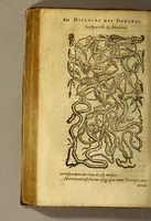 Picture 25 of 26 from Histoire de Portugal, : contenant les entreprises, nauigations, & gestes memorables des Portugallois, tant en la conqueste des Indes Orientales par eux descouuertes, qu'és guerres d'Afrique & autres exploits, depuis l'an mil quatre cens nona[n]te six, sous Emmanuel premier, Iea[n] troisiesme, & Sebastia[n] premier du nom. (1581), leaf 274