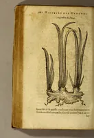 An illustration from Histoire de Portugal, : contenant les entreprises, nauigations, & gestes memorables des Portugallois, tant en la conqueste des Indes Orientales par eux descouuertes, qu'és guerres d'Afrique & autres exploits, depuis l'an mil quatre cens nona[n]te six, sous Emmanuel premier, Iea[n] troisiesme, & Sebastia[n] premier du nom. (1581)
