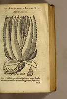 An illustration from Histoire de Portugal, : contenant les entreprises, nauigations, & gestes memorables des Portugallois, tant en la conqueste des Indes Orientales par eux descouuertes, qu'és guerres d'Afrique & autres exploits, depuis l'an mil quatre cens nona[n]te six, sous Emmanuel premier, Iea[n] troisiesme, & Sebastia[n] premier du nom. (1581)