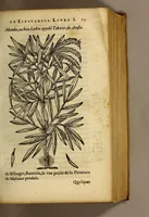 Picture 5 of 26 from Histoire de Portugal, : contenant les entreprises, nauigations, & gestes memorables des Portugallois, tant en la conqueste des Indes Orientales par eux descouuertes, qu'és guerres d'Afrique & autres exploits, depuis l'an mil quatre cens nona[n]te six, sous Emmanuel premier, Iea[n] troisiesme, & Sebastia[n] premier du nom. (1581), leaf 95