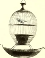 An illustration from Histoire des ballons et des aéronautes célèbres ... (1887)