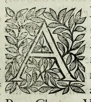 Picture 27 of 31 from Histoire des comtes de Prouence : enrichie de plusieurs de leurs portraits, de leurs sceaux, & des monnoyes de leur temps, qui n'auoient pas encore veu le iour (1655), leaf 341