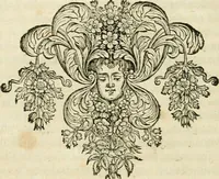 Picture 11 of 14 from Histoire des empereurs, et des autres princes qui ont regné durant les six premiers siècles de l'église, de leurs guerres contre les Juifs, des écrivains profanes, & des personnes les plus illustrés de leur temps Justifiée par les citations des auteurs originaux; avec des notes pour éclaircir les principales difficultés de l'histoire (1700), leaf 353